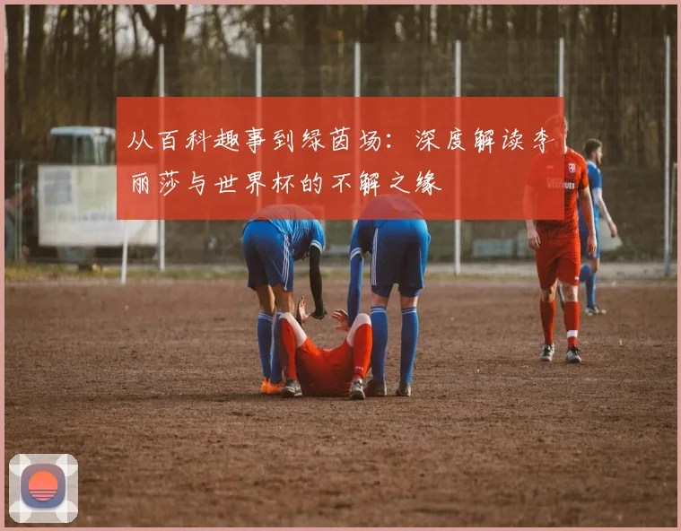 从百科趣事到绿茵场：深度解读李丽莎与世界杯的不解之缘